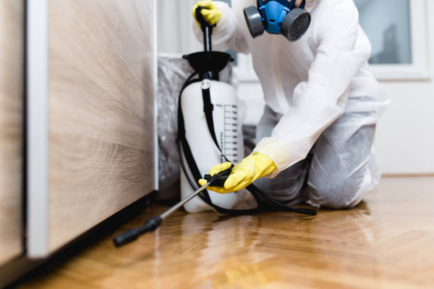 Best Wildlife Control Services  in Storrs, CT