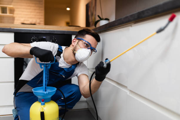 Best Affordable Pest Control Services  in Storrs, CT