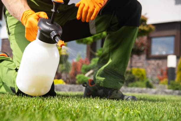 Best Insect Control  in Storrs, CT