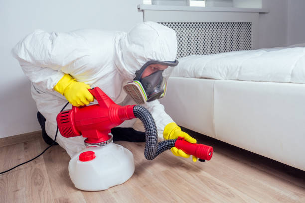 Best Best Pest Control Companies  in Storrs, CT