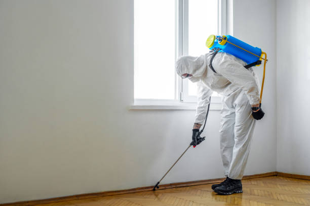 Pest Prevention Services in Storrs, CT